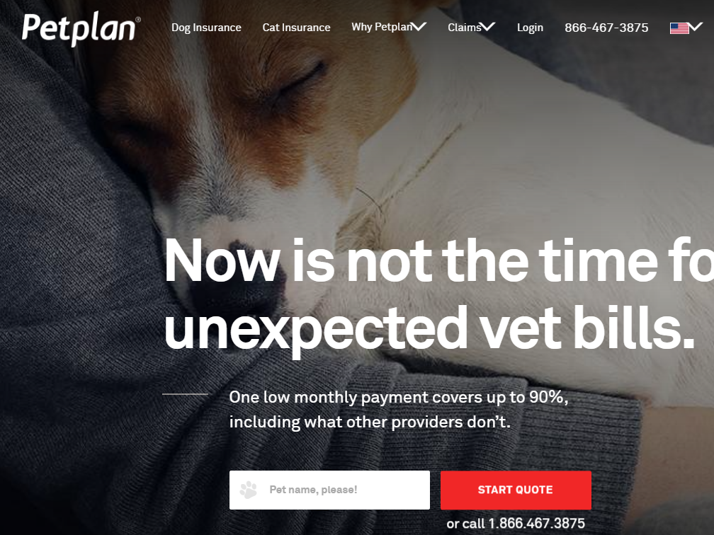 1598666509111418.png 加拿大宠物保险购买指南及保险公司推荐(索赔流程+优惠)- 2023年宠物险全攻略