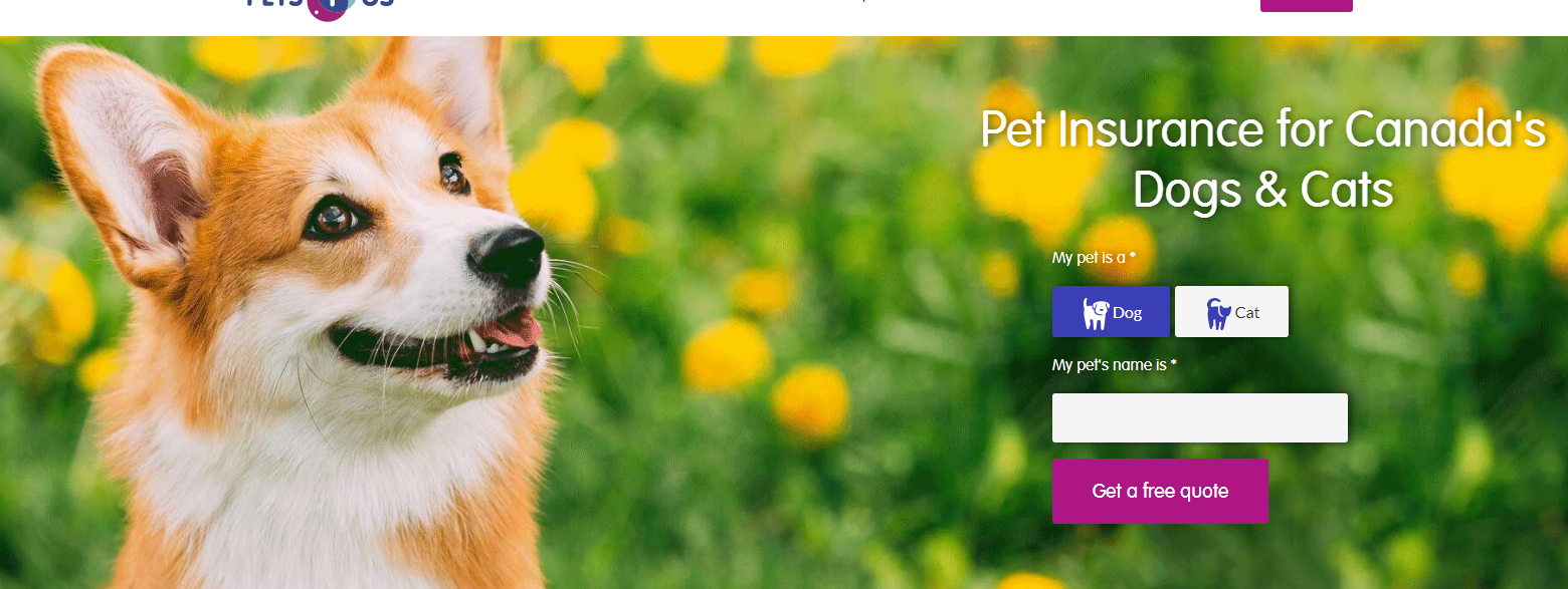 1598668091371408.png 加拿大宠物保险购买指南及保险公司推荐(索赔流程+优惠)- 2023年宠物险全攻略