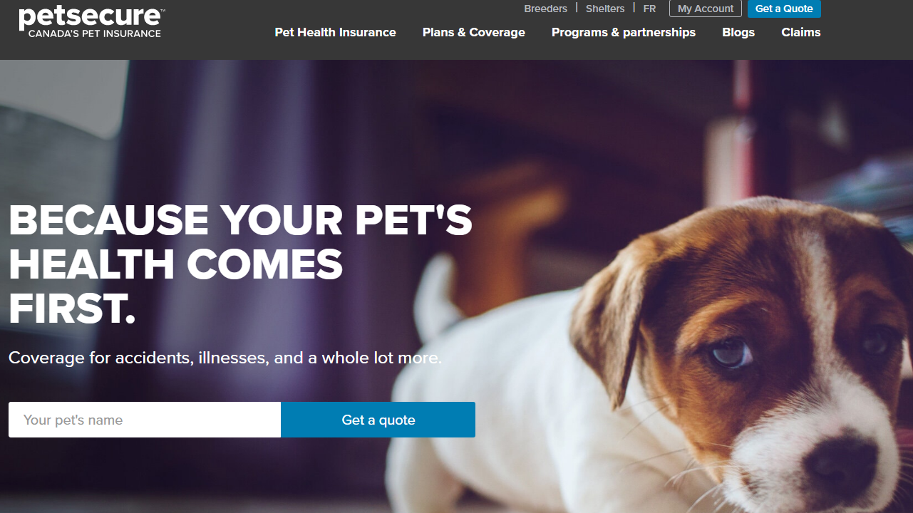 1598667959160783.png 加拿大宠物保险购买指南及保险公司推荐(索赔流程+优惠)- 2023年宠物险全攻略