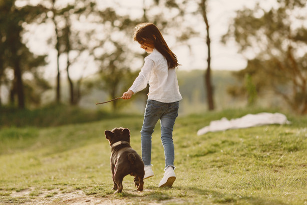 最全带宠物去加拿大攻略（手续+材料+费用+宠物入境规定与隔离+托运）2023最新