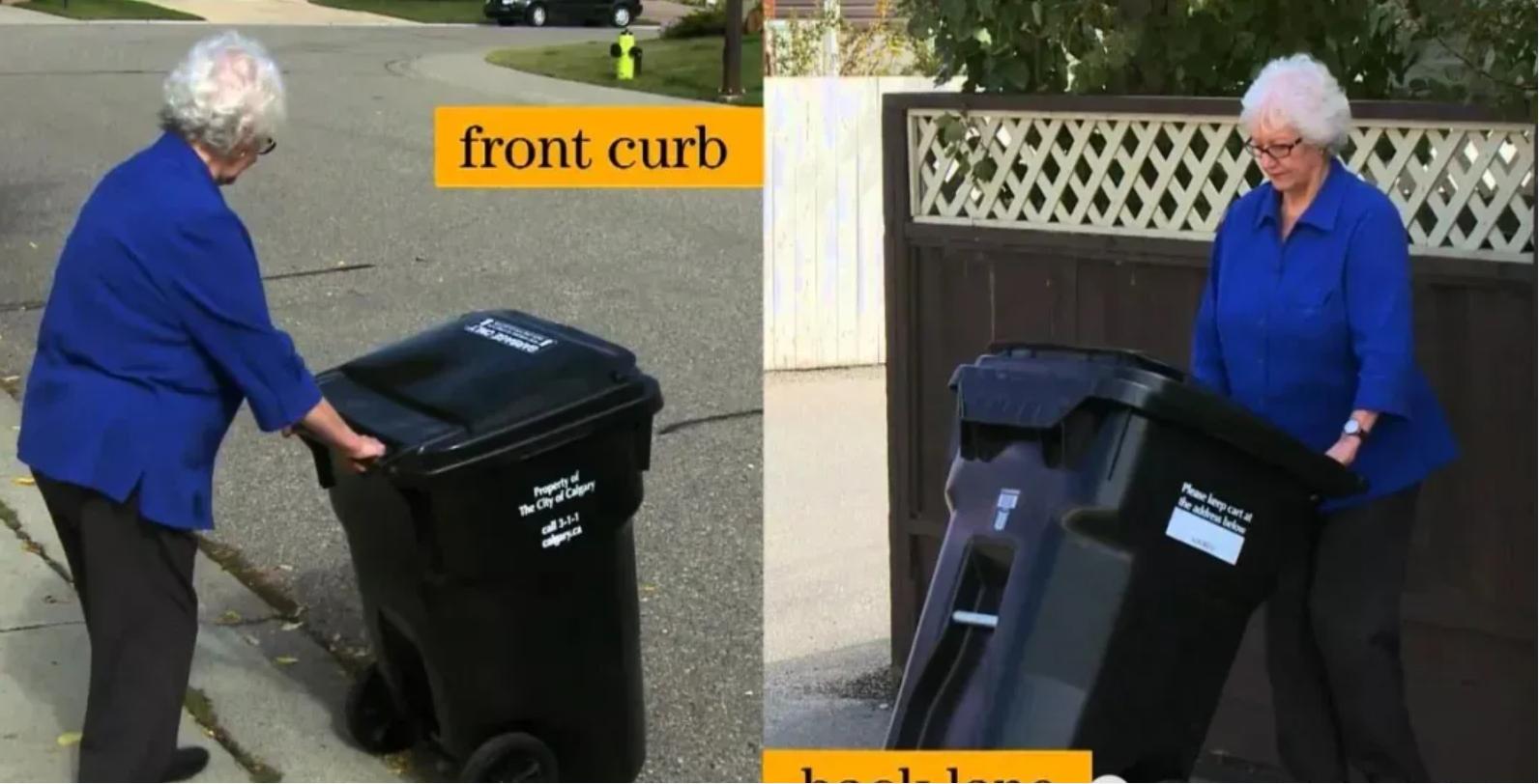 卡尔加里垃圾桶使用指南-黑桶 蓝桶 绿桶.