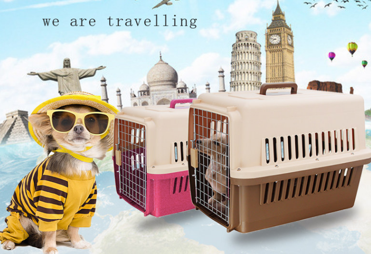 硬质不带轮宠物航空箱 最全带宠物去加拿大攻略(手续+材料+费用+宠物入境规定与隔离+托运)