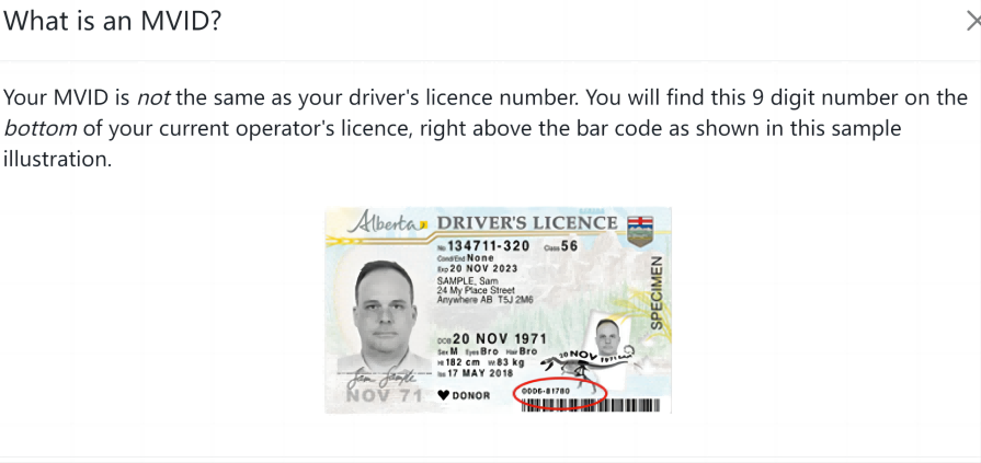 加拿大 阿尔伯塔 卡尔加里 驾照最强攻略 2024最新